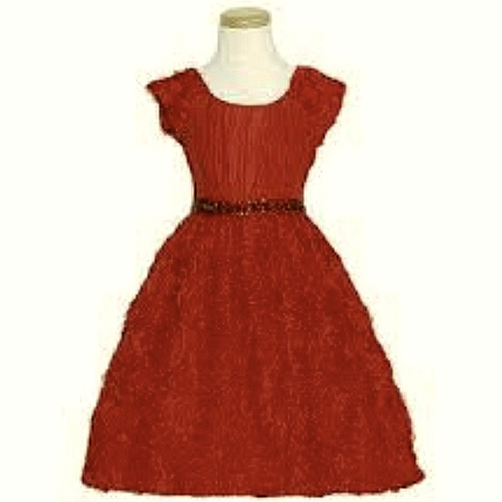 RUBY RED rosette jeweled cap sleeve PARTY DRESS 6